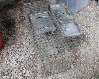 Live Traps