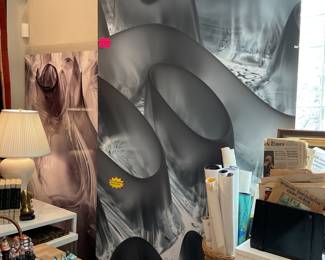 Rick Rothenberg Digital Art 104” x 49” $1600 + tax