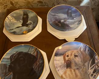 Collector plates