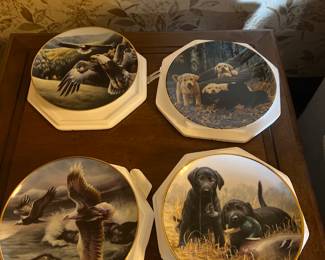 Collector plates