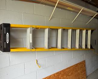 Werner Ladder