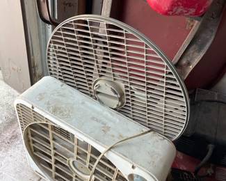 Fan