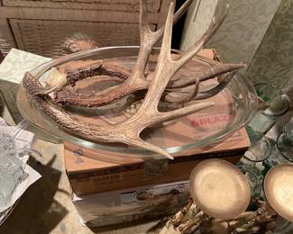 Antlers