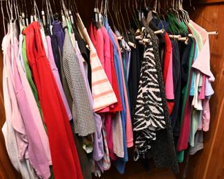 Large Closet Lot of Women's Clothing