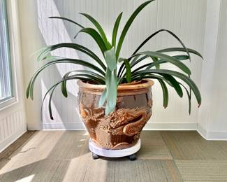 Large Vintage Chinese Dragon Egg Pot, Planter