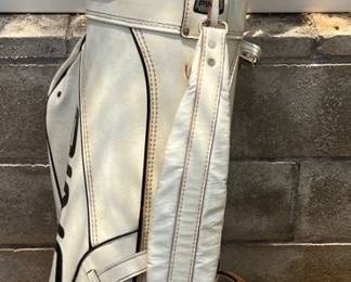 KSG045 PING Golf Bag + Clubs (Head Driver, Wilson Dynapower Irons, Golfsmith Putter) 