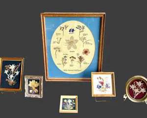  Vintage Framed Wildflower Art Collection