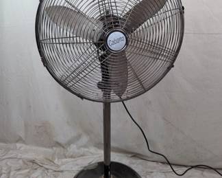 Fan