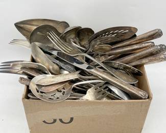 Silverplate Mystery Lot

