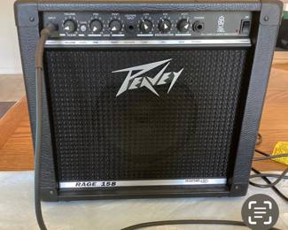 Vintage Peavey speaker