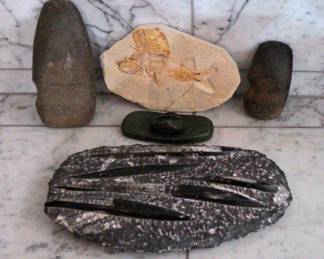 Orthoceros And Ammonite Fossil Plus Other Stones