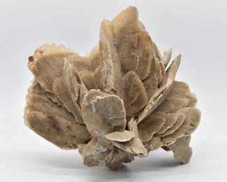 Desert Rose Mineral Specimen