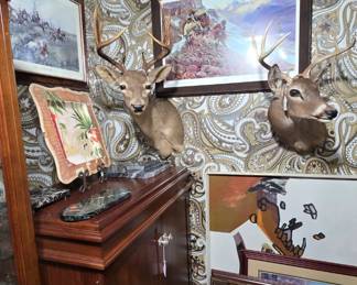 art, taxidermy
