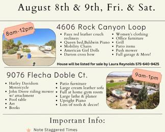 aes aug flyer