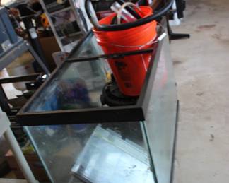 Acquarium