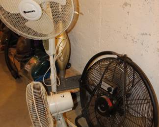 Fans