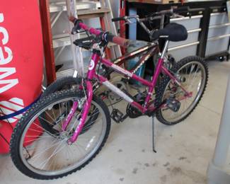 Catalina Bike