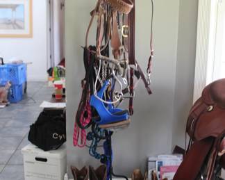Saddle and Bridle, Reins