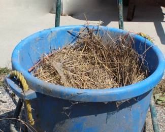 Feed Bucket on Wheels