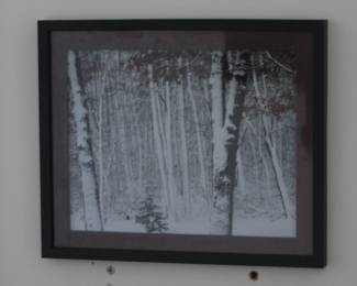 Winter Tree Scene