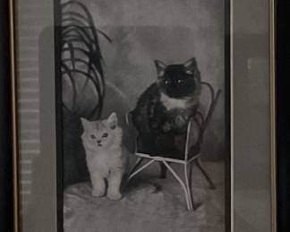Antique cat portrait
