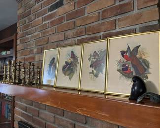 Vintage bird paintings