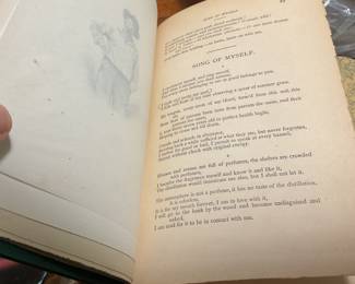 Beautiful Leaves of Grass- 1892