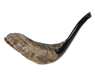 Ram Horn Shofar