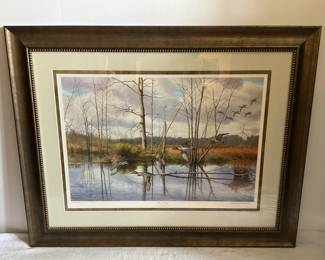 Ducks Unlimited Print Mixed Bog by Richard Plasschaert