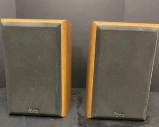 Infinity Speakers