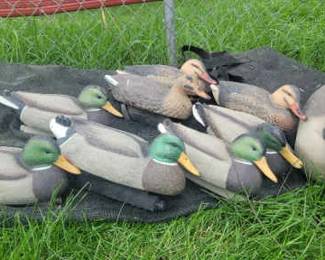 Duck Decoys Goose