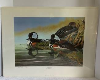 1990 South Carolina Ducks Unlimited Print Hairy Heads