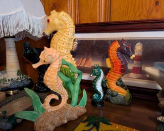 Seahorses