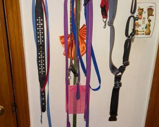 Dog accessories