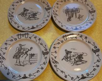 TEPCO WESTERN , RARE!