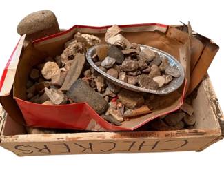 Rocks Fossils