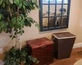 Mirror, Faux Plant, Two Laundry Bins