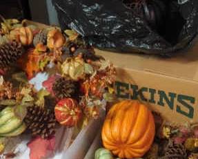 Fall Decor Mystery Lot