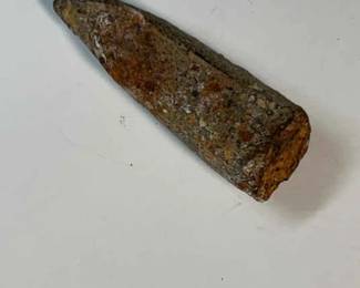 Fossilized Spinosaurus Tooth