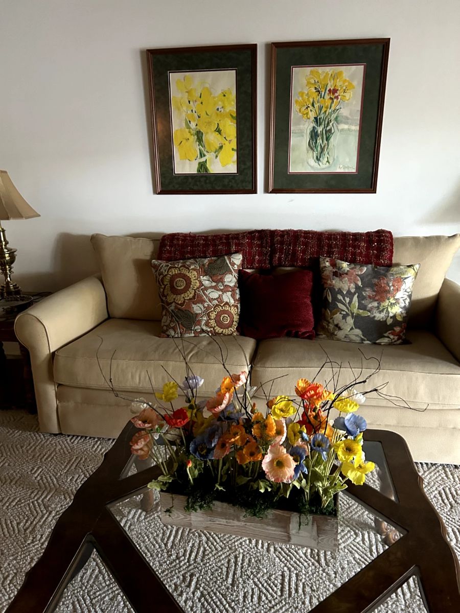 Couch with pillows and glass coffee table