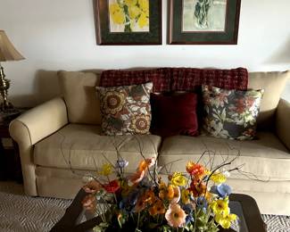 Couch with pillows and glass coffee table