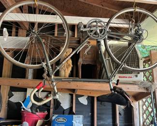 Vintage bike
