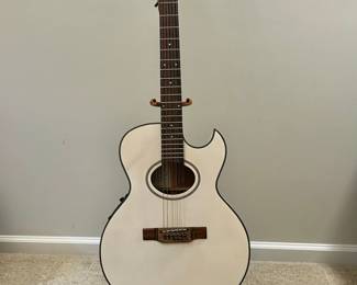 The George Washburn Festival Series EA 20-12WH 12 String Guitar