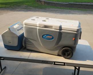 Lot 287. Large and small coolers