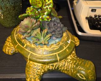 Turtle planter