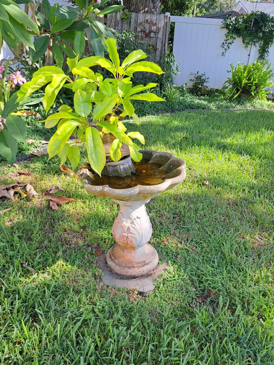 NICE BIRDBATH 