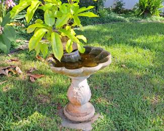 NICE BIRDBATH 