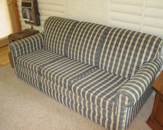 Comfortable Couch with Sleeper Bed 