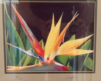 Jackie Jacobson Numbered Print