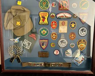 Boy Scout collection 